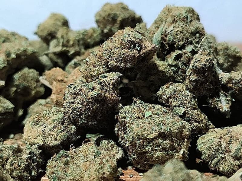 Fleurs de CBD premium Indoor et Greenhouse - Histoire de Graines Lyon