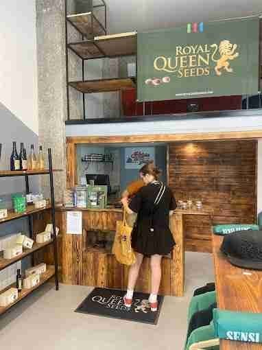 Intérieur de la boutique Histoire de Graines CBD Lyon Terreaux avec comptoir et produits premium